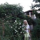 ������ "���������" �� ������� ����� ��� ������������