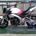 ���� ���������, �����������, 43 ���� - ��������� 20 ������ 2014