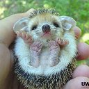 ���� ����, ��������, 22 ���� - ��������� 20 ������� 2013 � ������ ���� ����������