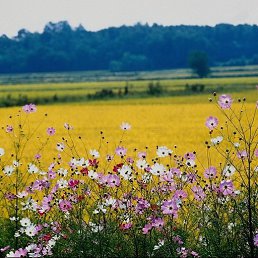 ���� ��������, �������� - ��������� 8 ������� 2013