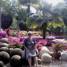 ���� �������, �������, 72 ���� - ��������� 10 ������ 2014