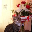 ���� Dima, �����-���������, 22 ���� - ��������� 20 ������� 2014 � ������ ������ ��������