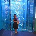 ���� ������, ������� �������� - ��������� 29 ������� 2013 � ������ �����������