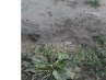 ������� � ���������� ���������� - http://vk.com/app2175066 �� ������� ���� ����������