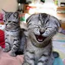 ���� �������, ���������� - ��������� 19 ������� 2013 � ������ ���� ����������