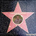 ���� �����, �������, 42 ���� - ��������� 4 ������� 2013 � ������ ���� ����������