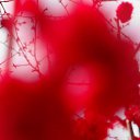 ���� ������, �����-���������, 61 ��� - ��������� 10 ����� 2014 � ������ ��������� ������, ������ 2012�