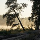 ����� ������