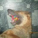 ���� ������, �����, 49 ��� - ��������� 16 ������ 2014 � ������ ���������