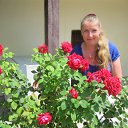  , , 56  -  19  2013   -2013