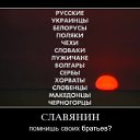 ���� ������, �����, 58 ��� - ��������� 31 ������ 2014 � ������ �������