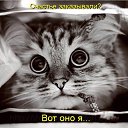 ���� �������� �������, ������, 53 ���� - ��������� 20 ������� 2013 � ������ ���� ����������