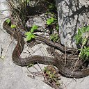 ��������� ����� �� ������� ���� ����������