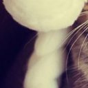 ���� ����, ������, 56 ��� - ��������� 11 ������� 2013 � ������ ������ ��������