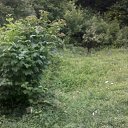 ���� �������, �����-��������� - ��������� 21 ������� 2013 � ������ ���� ����������