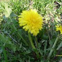 ���� Oleg, ������ - ��������� 28 ������� 2014 � ������ ������ ��������