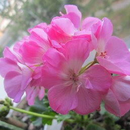 ���� �������, ������, 58 ��� - ��������� 15 ������� 2013