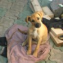 ��� ������ ��.