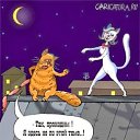  Loseff Yurij, , 63  -  21  2014       google+