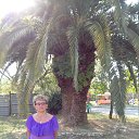 ���� �������, ����, 67 ��� - ��������� 15 ������� 2014 � ������ ������ 2013�