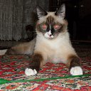 ���� ���, ���������, 63 ���� - ��������� 24 ������ 2014