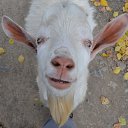 ���� Svann, ���������, 71 ��� - ��������� 15 �������� 2013 � ������ �������� �����
