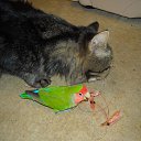 ���� �����, ����, 59 ��� - ��������� 21 ������ 2013