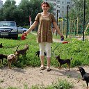 ���� �����, �����, 46 ��� - ��������� 3 ������� 2013 � ������ ���� ����������