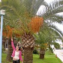 ���� ��������, ����������, 50 ��� - ��������� 26 ������ 2014 � ������ ���� ����������