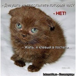 ���� Ը���, ������, 56 ��� - ��������� 6 ������� 2013