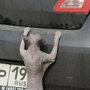 ���� Lux, ������, 45 ��� - ��������� 8 �������� 2013 � ������ ���� ����������