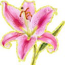 ���� �����, ������ - ��������� 24 ������� 2014 � ������ �������