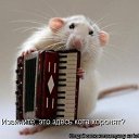 ���� ����, ������� - ��������� 4 ������ 2014 � ������ ���� ����������