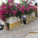 ���������� �� ������� �������� ���������� 2013�