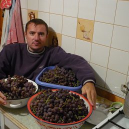 Alex, ������, 43 ����