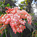 ���� ������, �����-���������, 61 ��� - ��������� 10 ����� 2014 � ������ ��������� ������, ������ 2012�