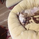 ���� Natalia, �����-��������� - ��������� 18 ������� 2014 � ������ ���� ����������