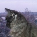 ���� ����, �������, 54 ���� - ��������� 14 ������ 2014 � ������ ���� ����������