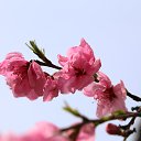 ���� ������, �����-���������, 61 ��� - ��������� 31 ������� 2013 � ������ ������� ������ 2013�