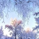 ���� �����, ����, 42 ���� - ��������� 30 ������ 2013 � ������ ������ ��������