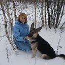 ���� ������, ��������� - ��������� 29 ������� 2013