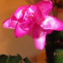 ���� Kisa, ��������������, 42 ���� - ��������� 21 ������� 2013 � ������ ������ �����������...�