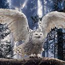 ���� �����, ���������, 33 ���� - ��������� 3 ������� 2013 � ������ ���� ����������