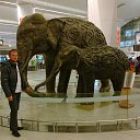 ���� ��������, ����������� - ��������� 6 ������ 2014