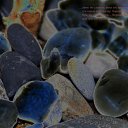 ���� ���� 108�, �����-���������, 43 ���� - ��������� 27 ������� 2013 � ������ ���� ����������