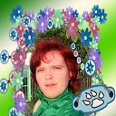 ���� ����, ����-�����������, 41 ��� - ��������� 3 ������� 2014 � ������ ���� ����������