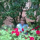 ������ �� ������� ���� ����������