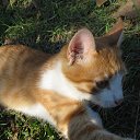 ���� ���������, ���������� - ��������� 13 ������� 2013 � ������ ������