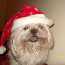 ���� A, �������� - ��������� 3 ������ 2014 � ������ ���� ����������