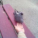 ���� ������, ������, 51 ��� - ��������� 5 ������� 2013 � ������ ���� ����������